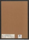 Cystopleura zebra var. proboscidea (Kuetz.) Grun. (de-Toni-Nr.: Genus 103, Species 3127) Zeichnungen Sammlung Grunow Mappe 03369 (Herbarium_W_Grunow_drawings_Folder_03369)